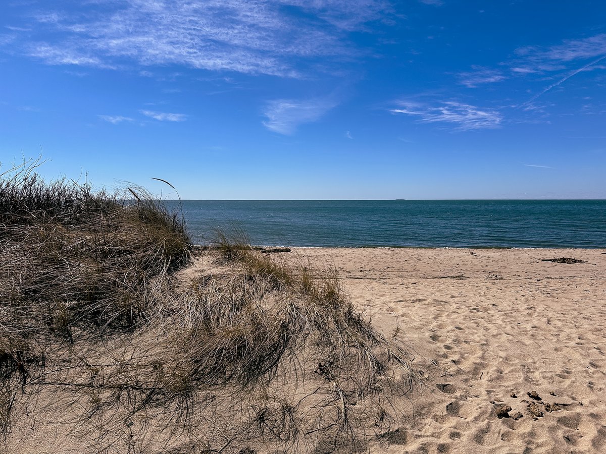 a beach with a grassy sand dune in the foreground