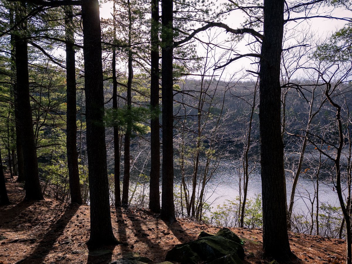 a lake with trees silhouetted
