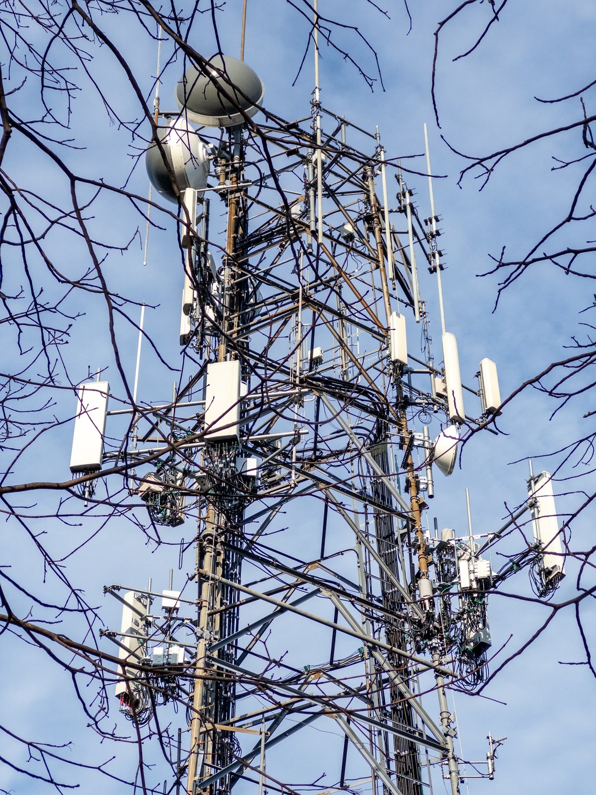 a radio and cell tower agains the sky framed by branches
