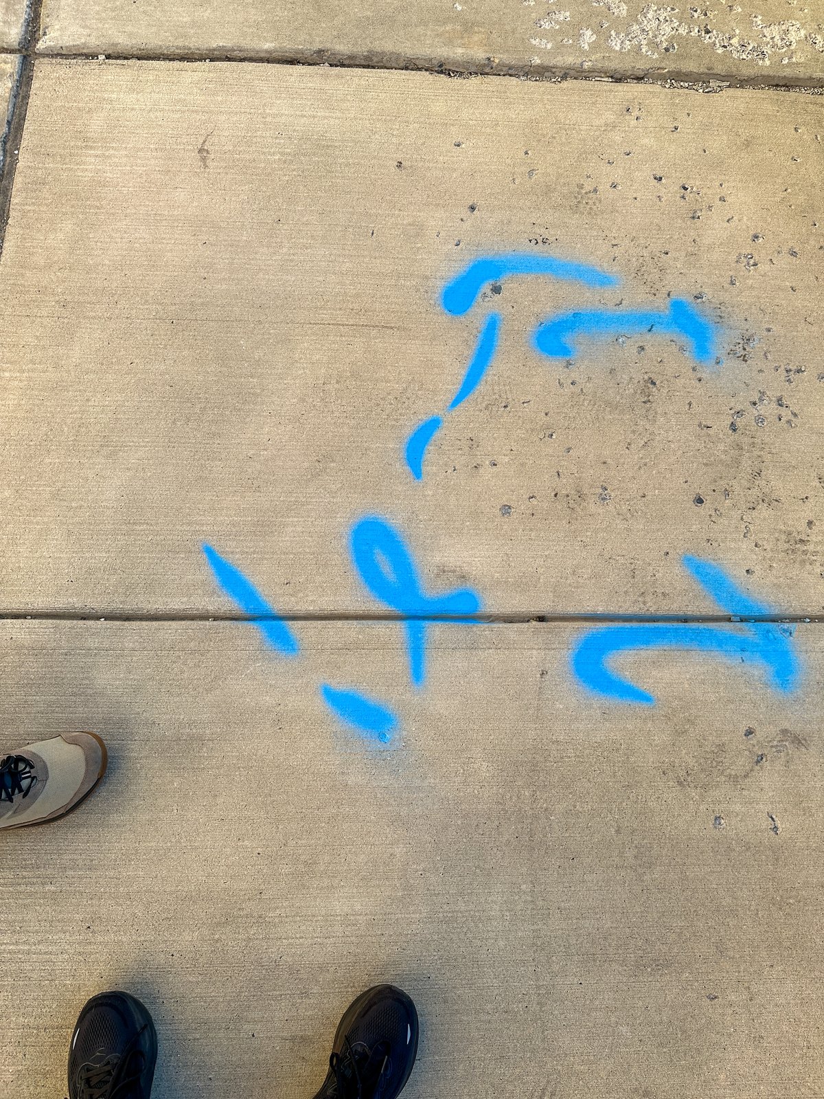 spray paint markings in blue on the sidewalk
