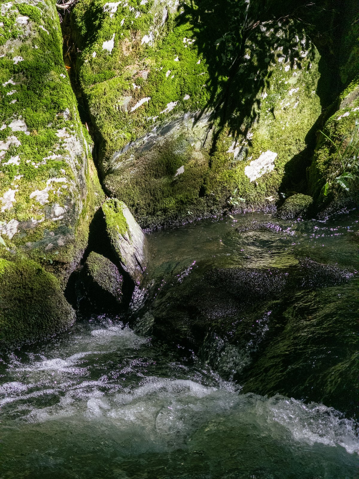 close up on the whitewater of the stream and a shadow of a tree across the moss