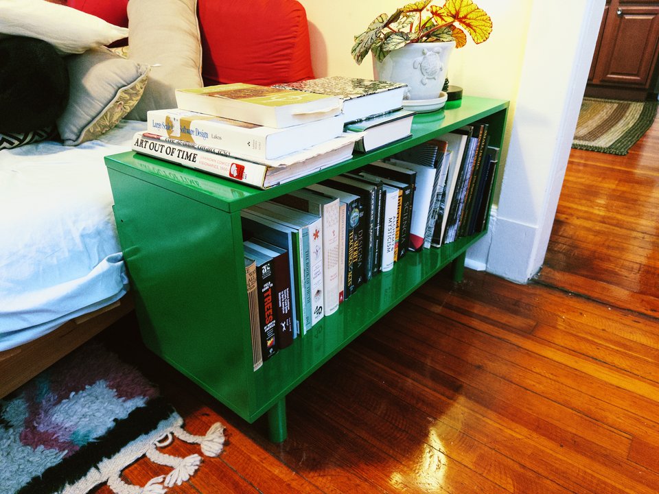 a bookshelf covered with books and one plant. it is very shiny and green.