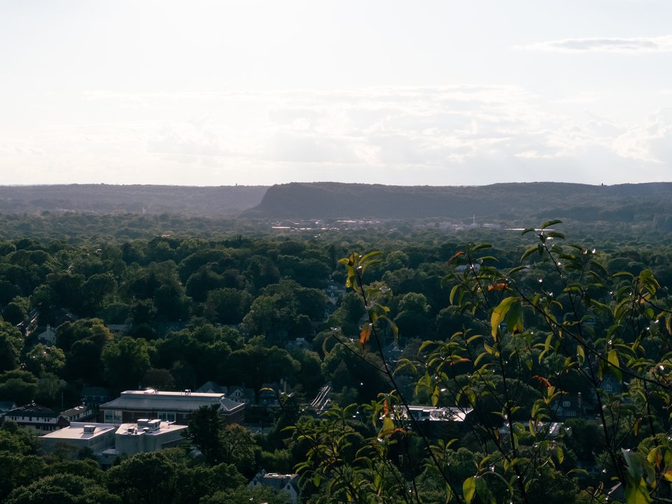 view of new haven and west rock in the distance. mostly it just looks like a bunch of trees