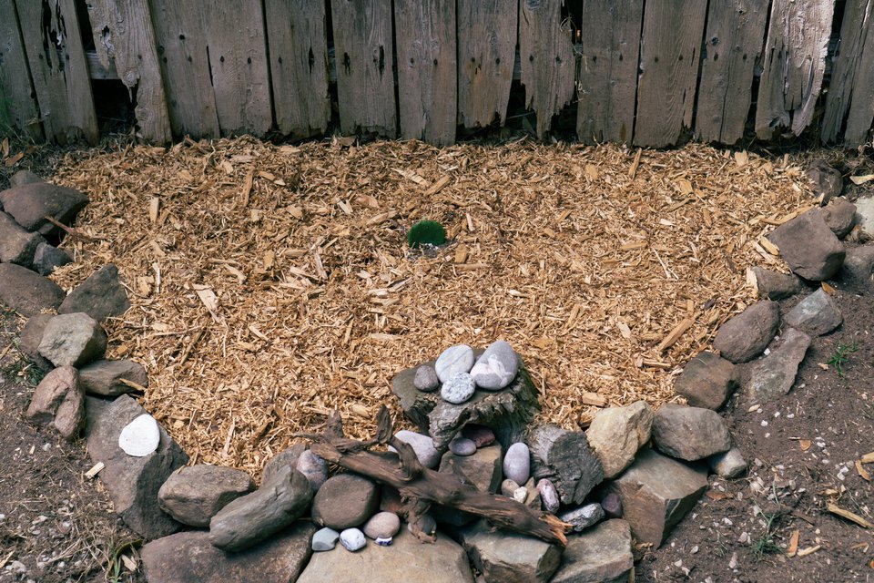 a circle of rocks surrounding a mulched area with a tiny cactus