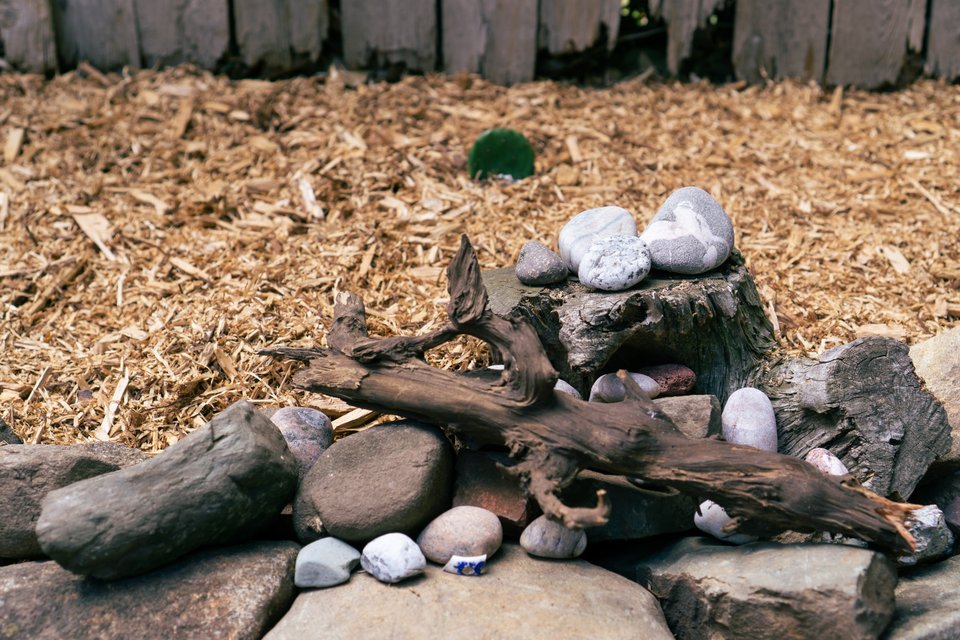 close up on the display of rocks and a cool piece of gnarled wood