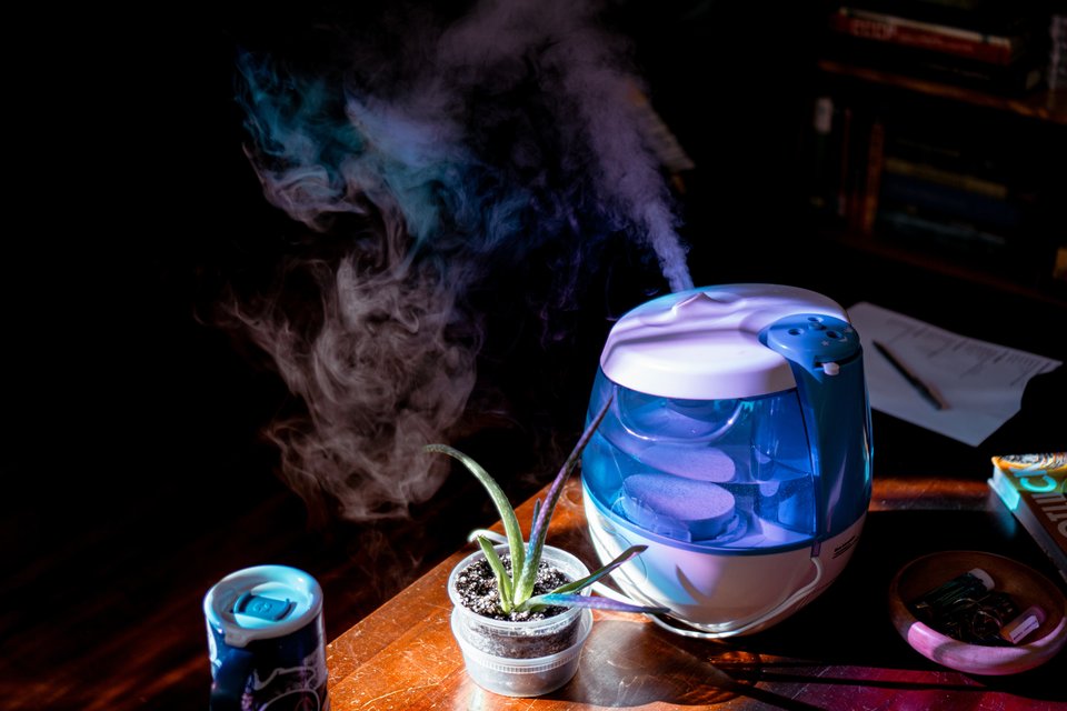 my humidifier on my coffee table, caught in the sunlight through dichroic film