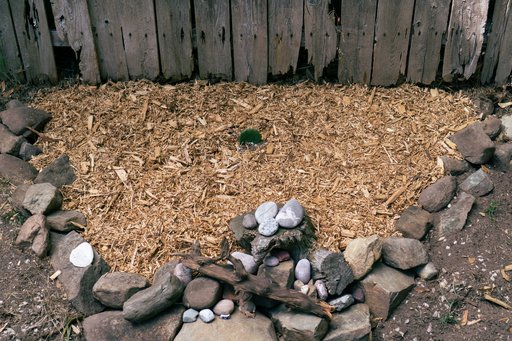 a circle of rocks surrounding a mulched area with a tiny cactus