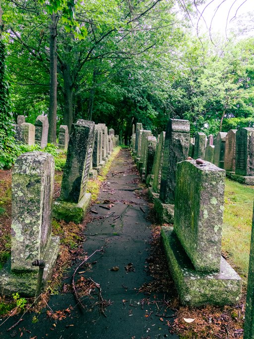 narrow lane of mossy graves under tree cover