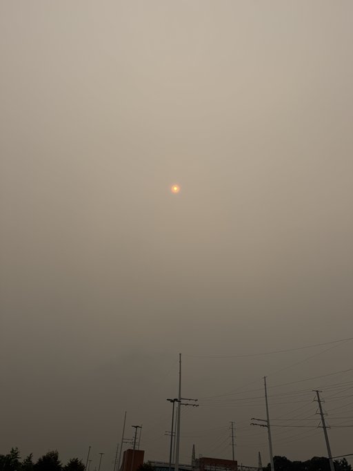 orange dot of a sun in a warm-gray sky